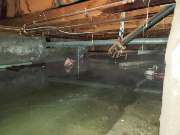 Best Flooded house restoration  in Stroudsburg, PA