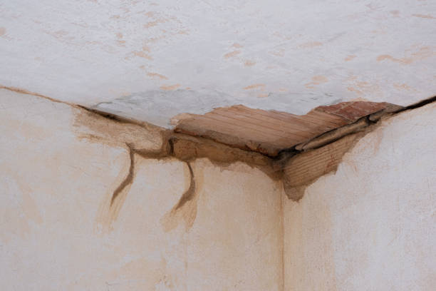Best 24/7 water damage repair  in Stroudsburg, PA