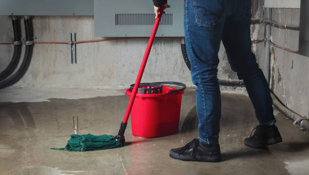 Best Professional water damage repair  in Stroudsburg, PA