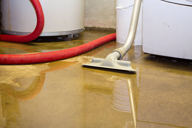 Best Commercial water damage restoration  in Stroudsburg, PA