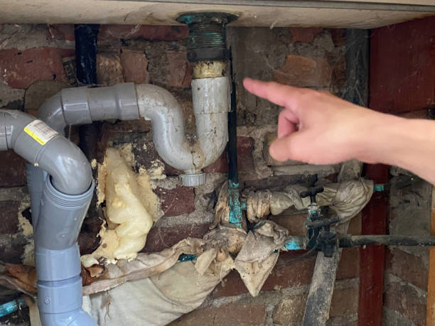 Best Water damage cleanup near me  in Stroudsburg, PA