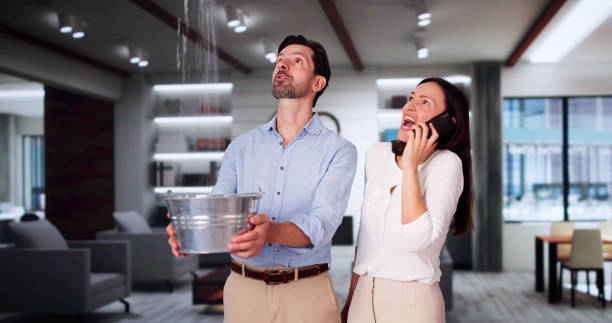 Best Mold removal after water damage  in Stroudsburg, PA