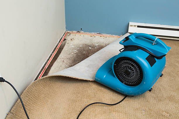 Best Flooded house restoration  in Stroudsburg, PA